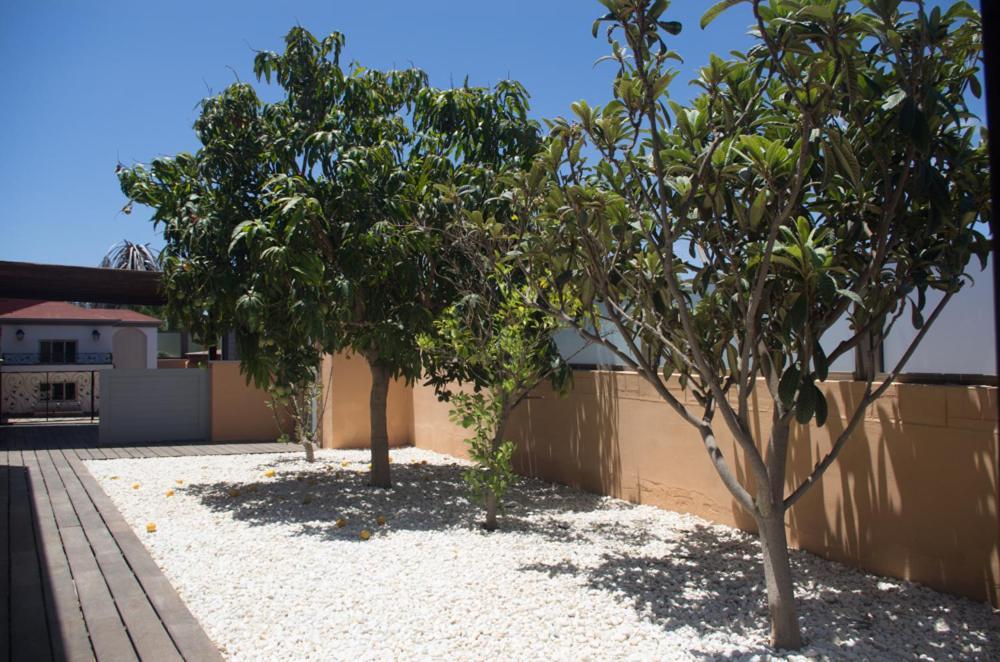 Villa La Marosca - Jacuzzi, Private Pool, 3 Bedrooms Caleta De Fuste Bagian luar foto